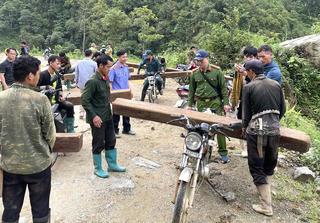 Lai Châu: Ngăn chặn nhóm người vận chuyển gỗ trái phép trên rừng phòng hộ 