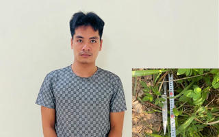 Nghi phạm sát hại vợ sa lưới sau 12h gây án