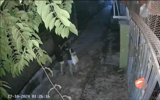 Hai nữ sinh lớp 8 nghi để lại thư tuyệt mệnh rồi nhảy cầu tự tử trong đêm