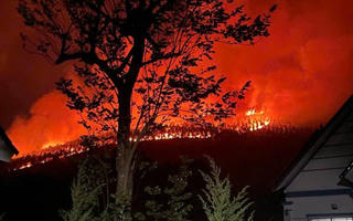 Tam Đảo (Vĩnh Phúc): Bất cẩn khi đốt dọn lá cây làm 3ha rừng sản xuất cháy dữ dội