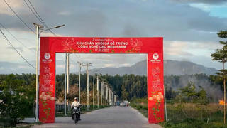 Mebi Farm - khu nuôi gà đẻ trứng công nghệ cao lớn nhất tỉnh Bình Thuận