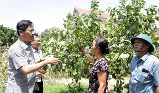 Xã Đồng Phúc (Bắc Giang) đạt chuẩn nông thôn mới, mở rộng cơ hội phát triển kinh tế