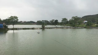 Thắng lợi lớn trong chuyển dịch cơ cấu nuôi trồng thủy sản tại xã Lão Hộ (Yên Dũng, Bắc Giang)