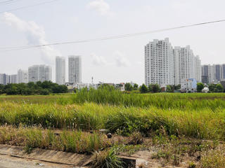 Xử lý các dự án, công trình không đưa đất vào sử dụng, chậm tiến độ tại Quảng Nam