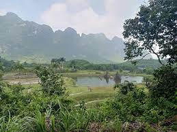 Chấm dứt hoạt động nhiều dự án "ngủ" quá lâu ở Hòa Bình