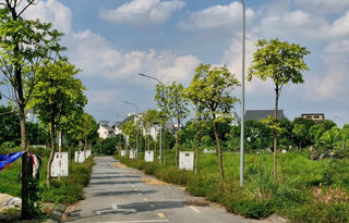 Hà Nội giải quyết vướng mắc, tồn tại trong công tác giao đất dịch vụ cho nhân dân