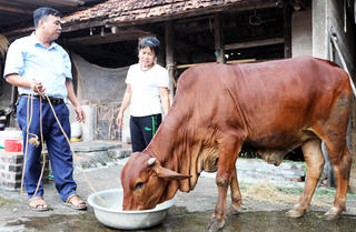 Đa dạng hình thức hỗ trợ giảm nghèo bền vững tại huyện Lạng Giang 