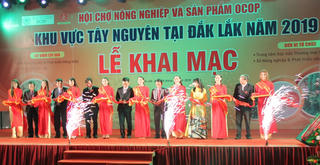 Khai mạc Hội chợ nông nghiệp và sản phẩm OCOP khu vực Tây Nguyên