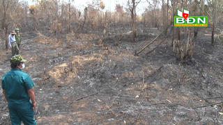 Cháy rừng phòng hộ ở Đắk Nông