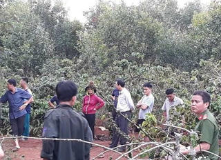 Phát hiện thi thể của người phụ nữ bên bờ suối