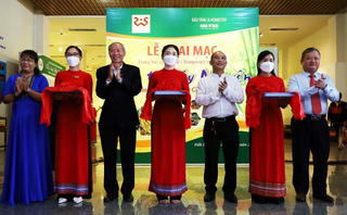 Khai mạc chuyên đề trưng bày "hồn tre" Tây Nguyên