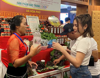 Đắk Lắk Khát vọng xây dựng Buôn Ma Thuột thành kinh đô cà phê của thế giới