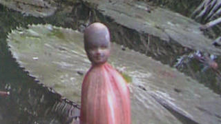 Người chết “hiển linh” vào hoa súng hình đầu chú tiểu?