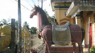 Choáng trước tượng ngựa có đầy đủ nội tạng ở Hậu Giang