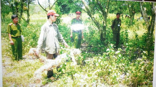 “Vật chứng sinh đôi”, “khoảng cách co giãn” thiếu trung thực trong kỳ án vườn mít