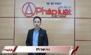 Bản tin Pháp luật: Những vụ án đau lòng 