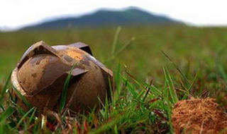 Làm gạch dính bom bi, hai người thương vong