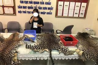 Hải quan sân bay phát hiện hành khách “xách tay” vật phẩm động vật hoang dã