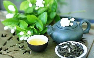 "Tân trang nhan sắc" với trà xanh