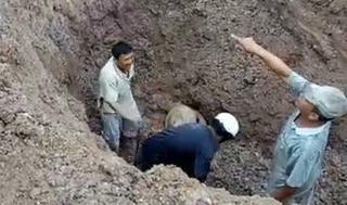 Lâm Đồng: Người dân cứu sống cặp vợ chồng bị đất vùi lấp