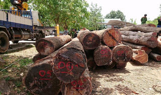 Bắt khẩn cấp “cánh tay phải” đắc lực của Phượng “râu”