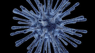 Dân hoang mang khi virus Nipah trở lại, nhiều người tử vong