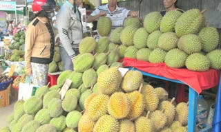 Hạt sầu riêng lên cơn sốt: Lời đồn có thế lực phá hoại?