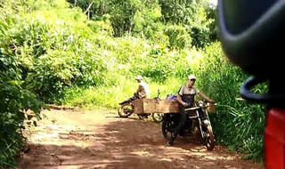 Xe chở gỗ ngang nhiên qua trạm kiểm soát lâm sản, rừng Mang Yang tiếp tục bị tàn phá