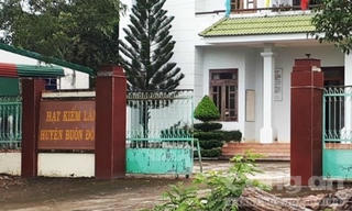 Tiếp tay cho Phượng 'râu',  nguyên Phó hạt trưởng Hạt kiểm lâm bị khởi tố