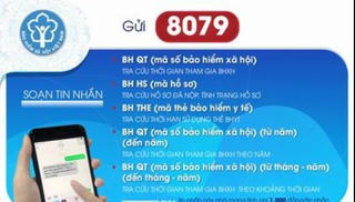 Từ 1/8: Tra cứu thông tin BHXH, BHYT sẽ gửi tới đầu số 8079