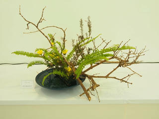 Triển lãm nghệ thuật cắm hoa Ikebana Nhât Bản lần 3