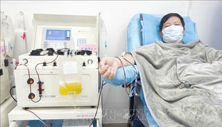 Phương pháp truyền dịch huyết tương từ những bệnh nhân khỏi bệnh cho kết quả đáng khích lệ