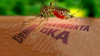 Đà Nẵng thông tin về trường hợp mắc virus Zika gây bệnh "đầu nhỏ" đầu tiên