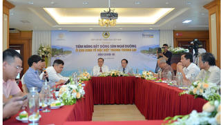Làm sao để Vân Đồn, Phú Quốc thành “tổ của Đại bàng”?