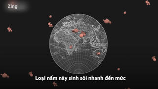 Siêu khuẩn nguy hiểm mới đang lây lan