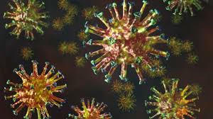 Chủng virus SARS-CoV-2 đột biến bị phát hiện ở Nam Phi có nguy cơ kháng vắc-xin COVID-19