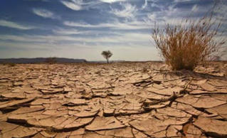 Phát động cuộc thi Sáng tác ảnh bảo vệ môi trường 2021 