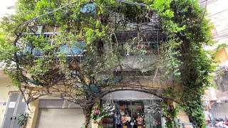 Ấn tượng những không gian xanh mát như vườn quê giữa lòng phố cổ Hà Nội