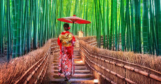 Lạc lối trong rừng tre Arashiyama - niềm tự hào của cố đô Kyoto