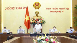 Tích cực chuẩn bị nội dung tại Kỳ họp thứ nhất, Quốc hội khóa XV