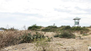 Đừng dễ dãi với doanh nghiệp sai phạm 