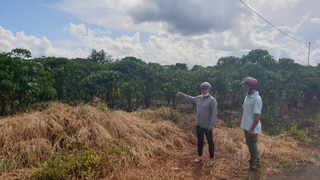 Lâm Đồng: Vì sao TAND Bảo Lâm “ngâm tôm” quyết định tố tụng?