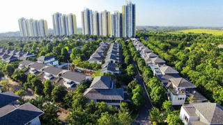 Thương hiệu Ecopark bị F.I.T và Crystal Bay xâm phạm