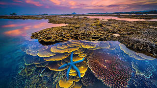 40 dự án bất động sản tại Phú Yên vi phạm Nghị định số 117/2015 của Chính phủ 