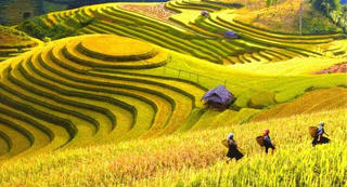 Tuân thủ giãn cách, “nhấp chuột” để du lịch Tây Bắc