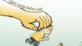 Xem xét giải thể các cơ quan, tổ chức hoạt động không hiệu quả