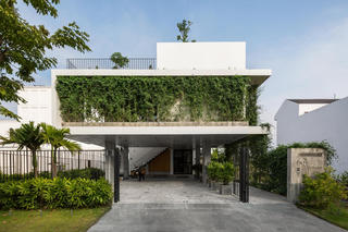 Căn nhà lấy cây xanh làm rèm