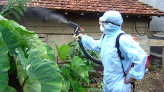 Nguy cơ bùng phát sốt xuất huyết: Không để “dịch chồng dịch”