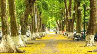 Những phố hàng, những vỉa hè thương nhớ
