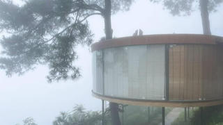 Chán ở mặt đất, gia chủ tự làm nhà trên cây đẹp mơ màng